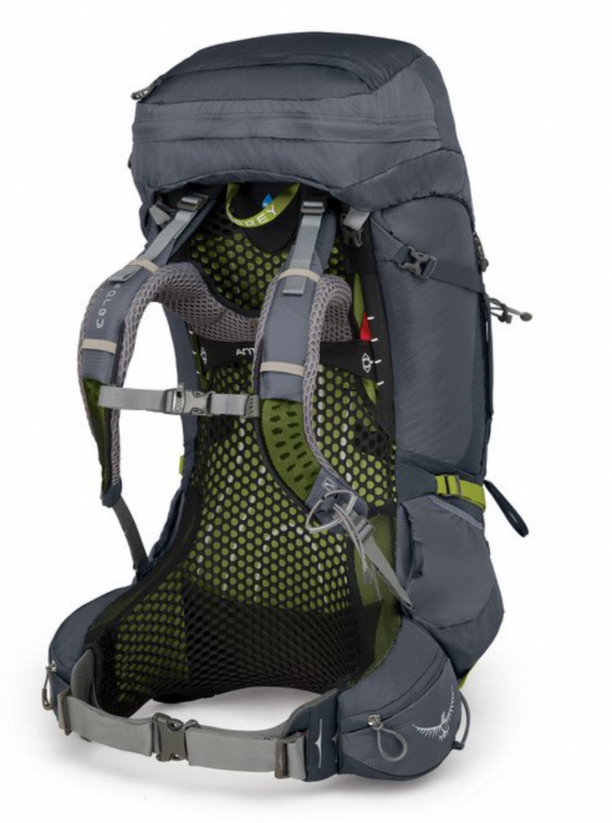 ATMOS 65 AG – Wildernest Inc