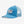 Load image into Gallery viewer, Line Logo Ridge LoPro Trucker Hat
