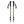 Load image into Gallery viewer, TRAIL EXPLORER POLE
