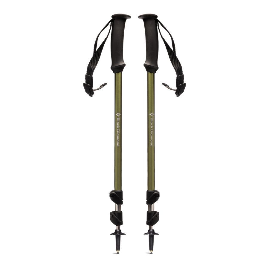 TRAIL EXPLORER POLE