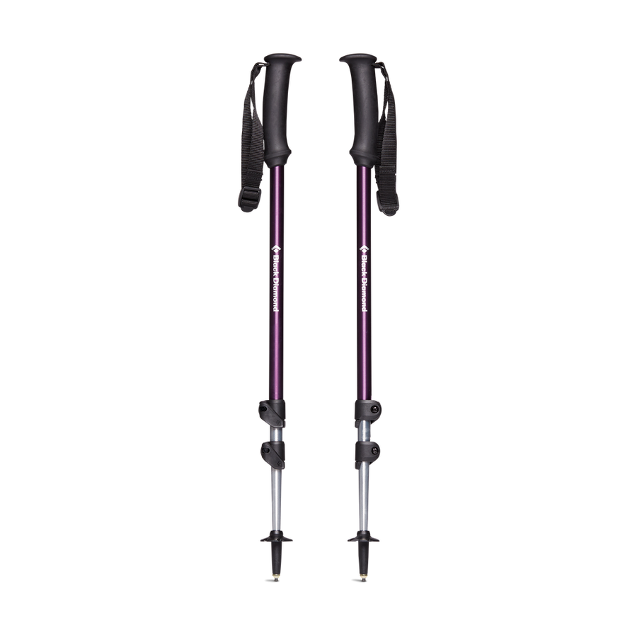 TRAIL EXPLORER POLE