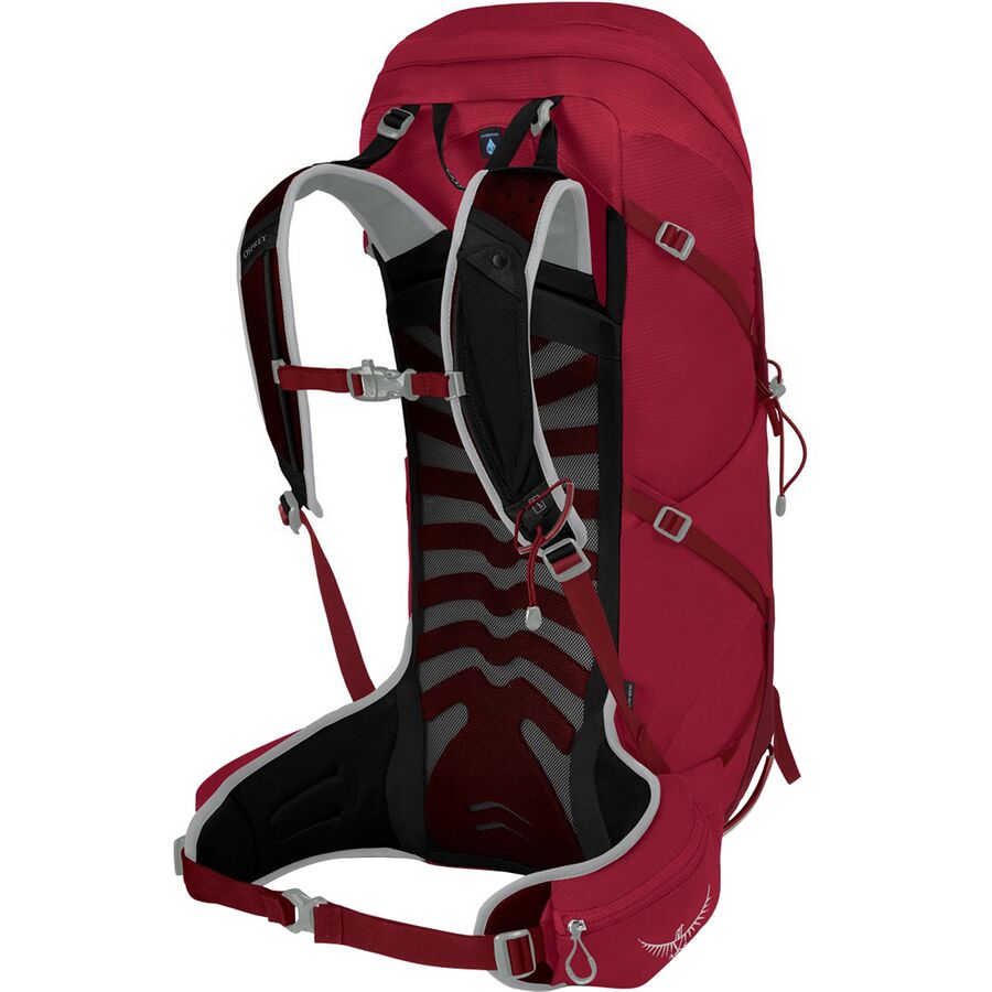 TALON 36