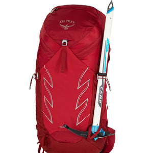 TALON 36