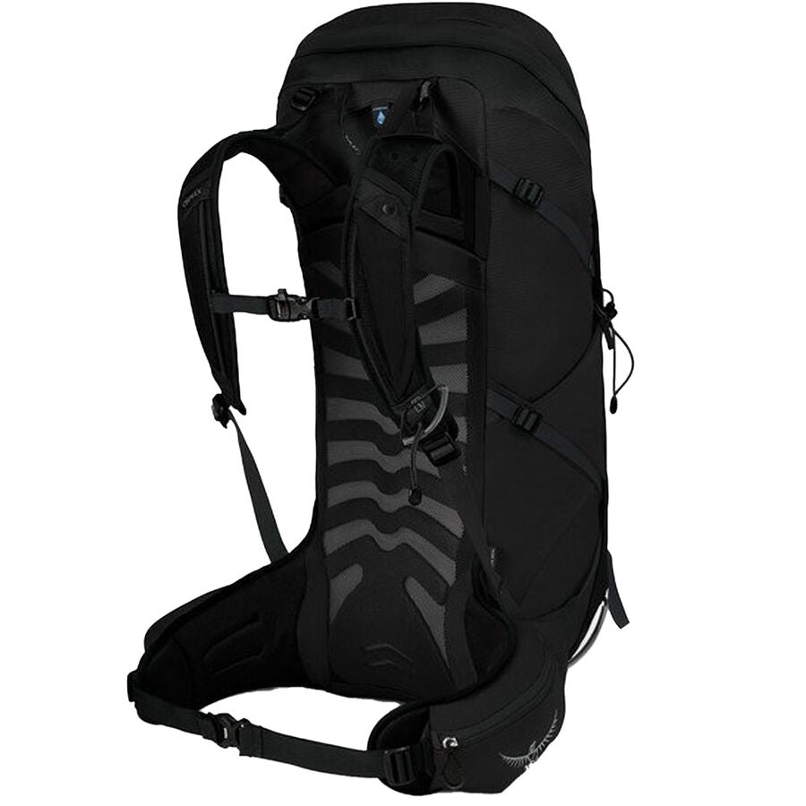 TALON 36