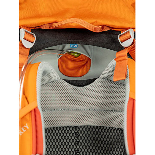 ACE 50 KIDS PACK